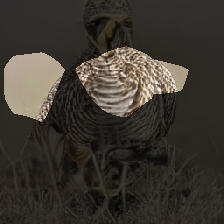 layer0-1436