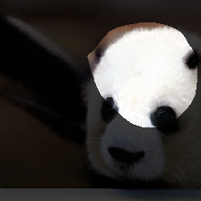 layer1-107