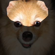 layer1-107