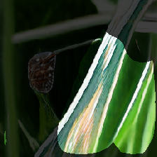 layer1-285