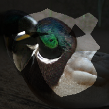 layer0-791