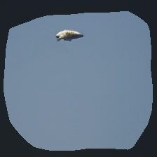 layer0-1168