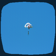 layer0-1168