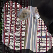 layer0-1169