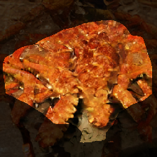 layer1-680