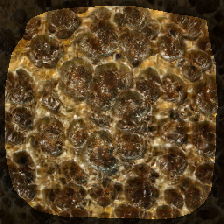 layer1-681