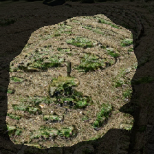 layer1-291