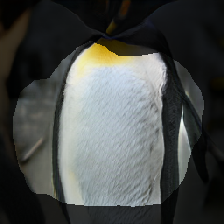layer1-682