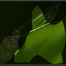 layer0-796