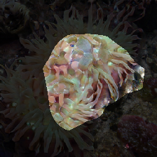 layer0-1383