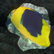 layer0-1173