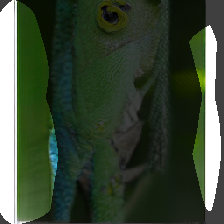 layer0-586