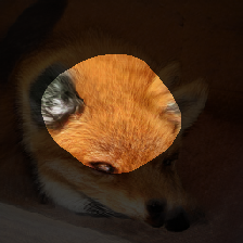 layer1-300