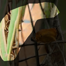 layer0-1179