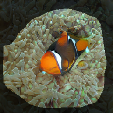 layer1-301