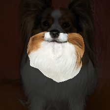 layer1-691