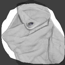 layer1-692