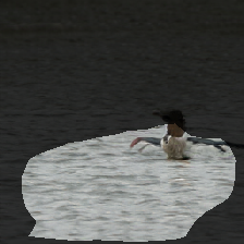 layer1-109