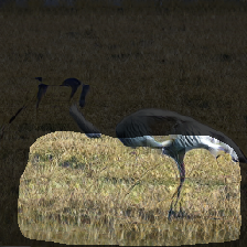 layer1-109