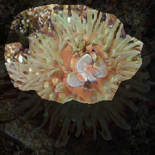 layer1-306