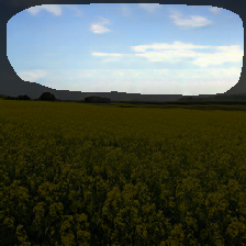 layer1-697