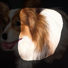layer1-698