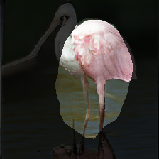 layer1-698