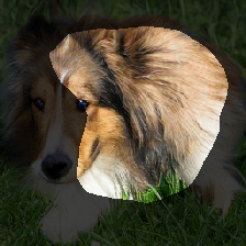 layer1-698