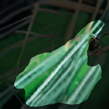 layer1-308