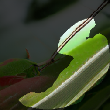 layer1-308