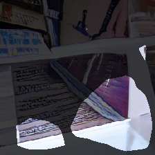 layer0-599