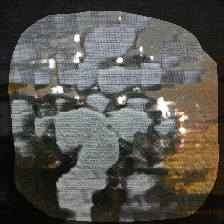 layer1-309