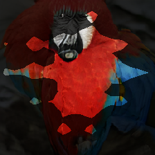 layer1-310