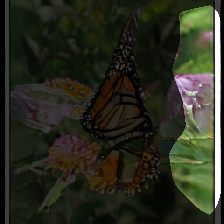 layer0-1399