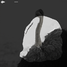 layer1-312