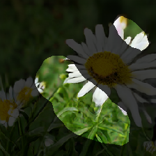 layer1-705