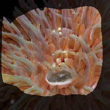 layer1-314