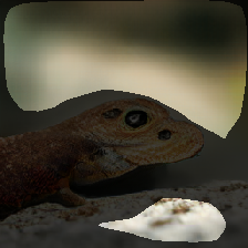 layer1-110