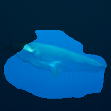 layer1-317