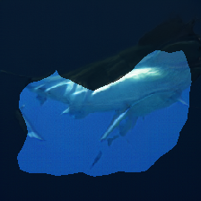 layer1-317
