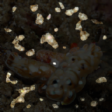 layer3-331