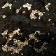 layer3-331