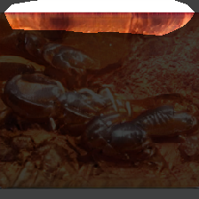 layer0-1197
