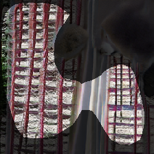 layer1-319