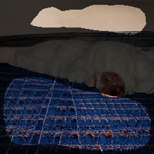 layer1-319
