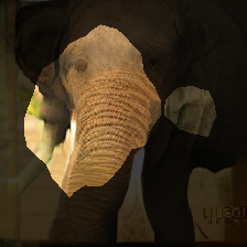 layer1-323