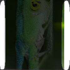 layer2-498