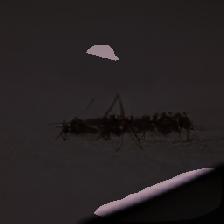 layer2-307