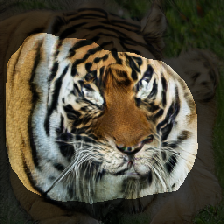 layer1-111