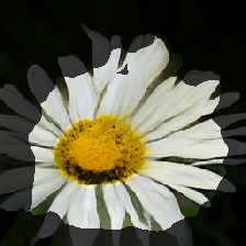 layer2-308